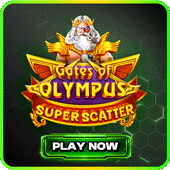 Gates of Olympus slot game at KNN77 – knn-77.vip